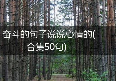 奋斗的句子说说心情的(合集50句)