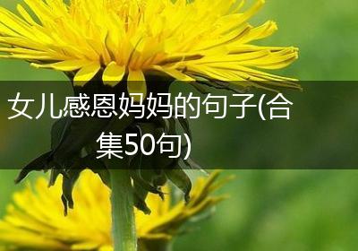 女儿感恩妈妈的句子(合集50句)