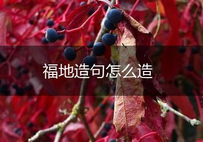 福地造句怎么造