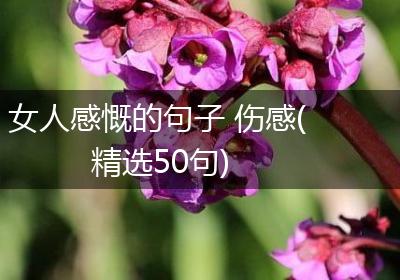 女人感慨的句子 伤感(精选50句)