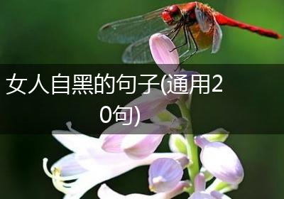 女人自黑的句子(通用20句)