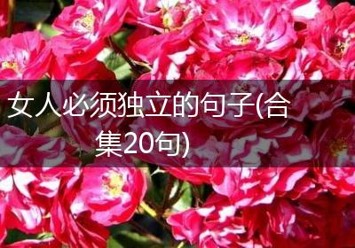女人必须独立的句子(合集20句)