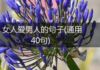 女人爱男人的句子(通用40句)