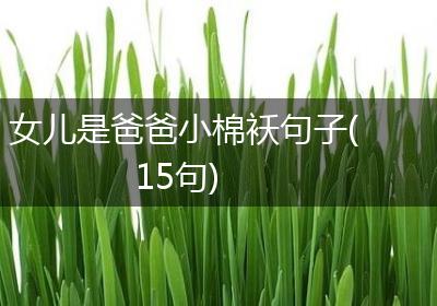 女儿是爸爸小棉袄句子(15句)