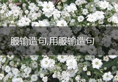 服输造句,用服输造句