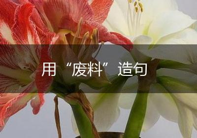 用“废料”造句