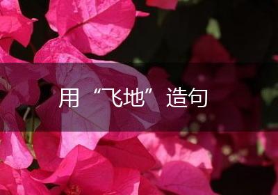 用“飞地”造句