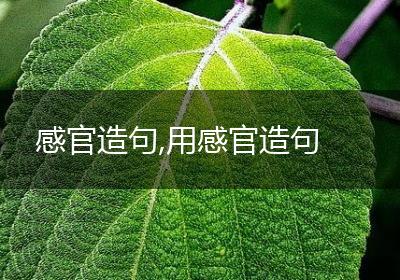 感官造句,用感官造句