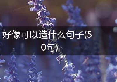 好像可以造什么句子(50句)