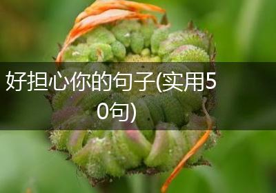好担心你的句子(实用50句)