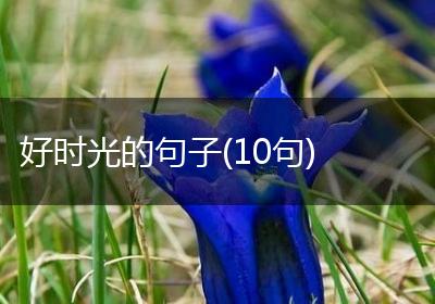 好时光的句子(10句)