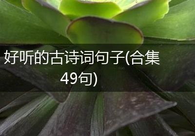 好听的古诗词句子(合集49句)