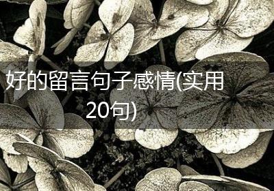 好的留言句子感情(实用20句)