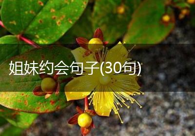 姐妹约会句子(30句)