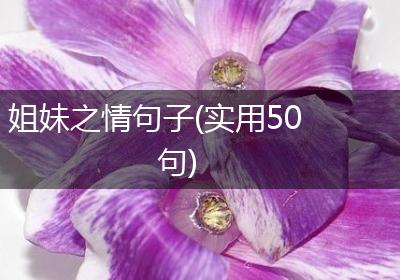 姐妹之情句子(实用50句)