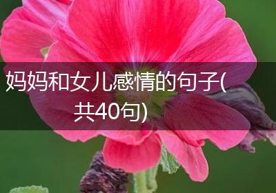 妈妈和女儿感情的句子(共40句)