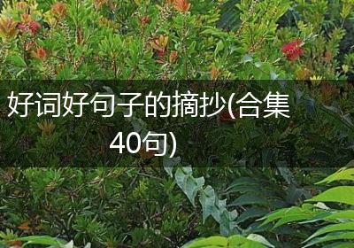 好词好句子的摘抄(合集40句)