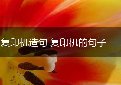 复印机造句 复印机的句子