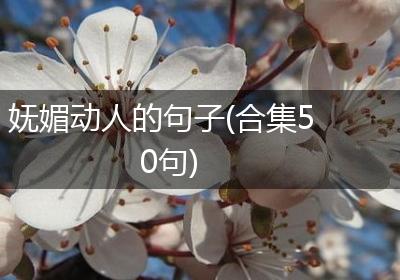 妩媚动人的句子(合集50句)