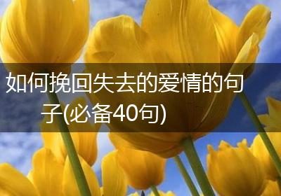 如何挽回失去的爱情的句子(必备40句)