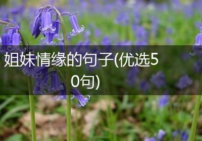 姐妹情缘的句子(优选50句)