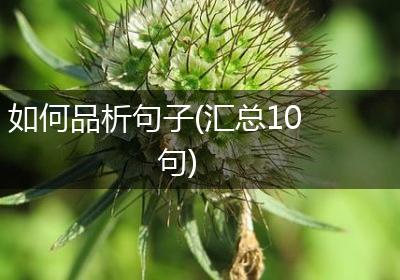 如何品析句子(汇总10句)