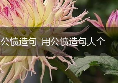 公愤造句_用公愤造句大全