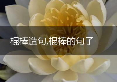 棍棒造句,棍棒的句子