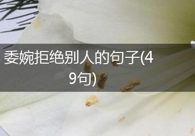 委婉拒绝别人的句子(49句)