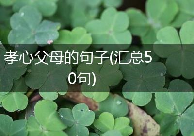 孝心父母的句子(汇总50句)