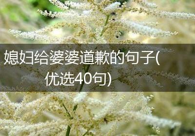 媳妇给婆婆道歉的句子(优选40句)