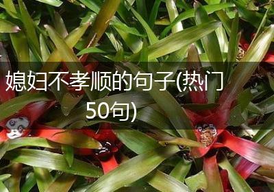 媳妇不孝顺的句子(热门50句)