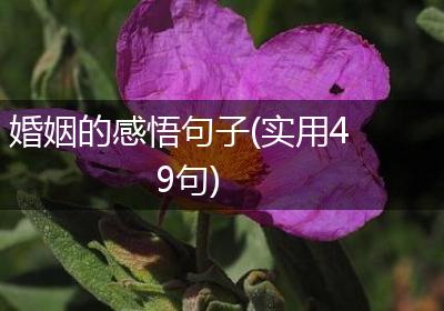 婚姻的感悟句子(实用49句)