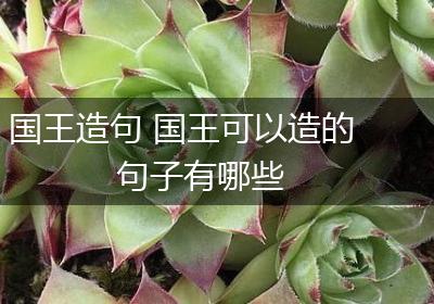 国王造句 国王可以造的句子有哪些