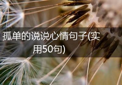 孤单的说说心情句子(实用50句)