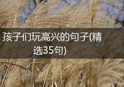 孩子们玩高兴的句子(精选35句)