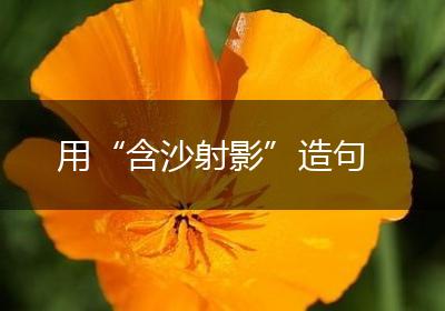 用“含沙射影”造句