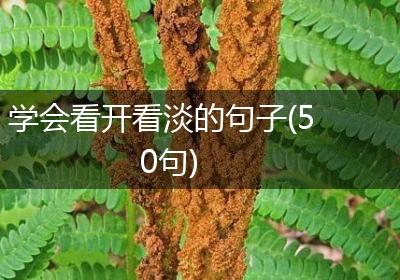 学会看开看淡的句子(50句)