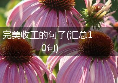 完美收工的句子(汇总10句)