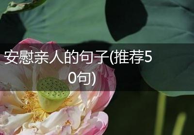 安慰亲人的句子(推荐50句)