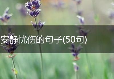 安静忧伤的句子(50句)