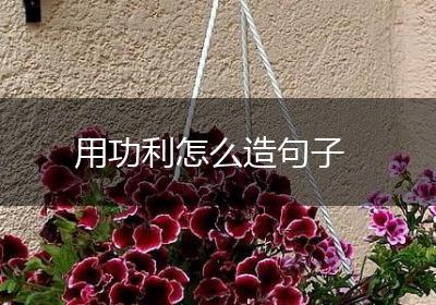 用功利怎么造句子