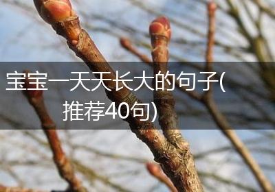 宝宝一天天长大的句子(推荐40句)