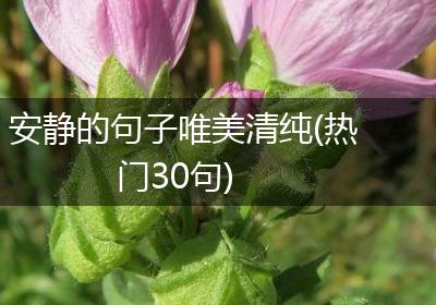 安静的句子唯美清纯(热门30句)