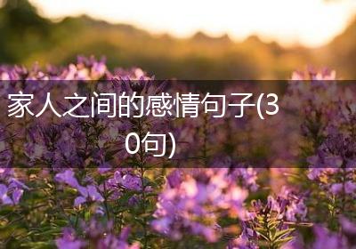 家人之间的感情句子(30句)