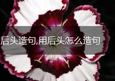 后头造句,用后头怎么造句