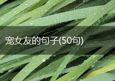 宠女友的句子(50句)