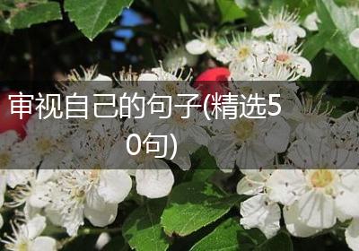 审视自己的句子(精选50句)