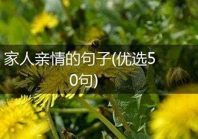 家人亲情的句子(优选50句)