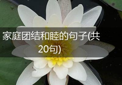 家庭团结和睦的句子(共20句)